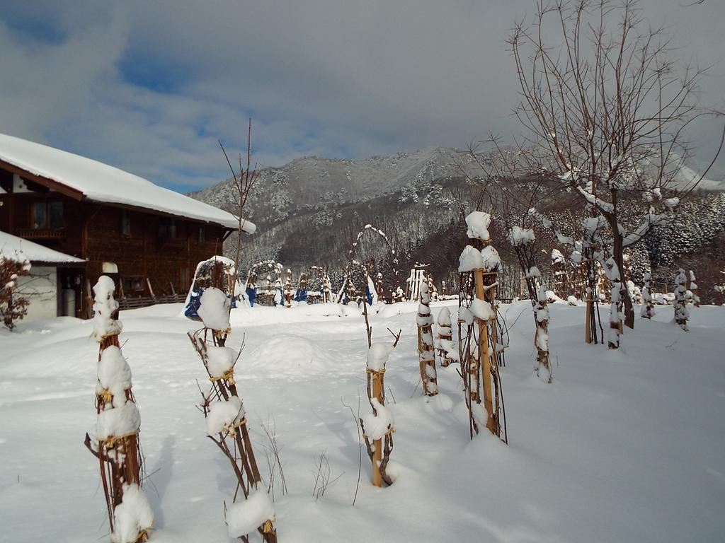 Pension Apple Kaminoyama Extérieur photo