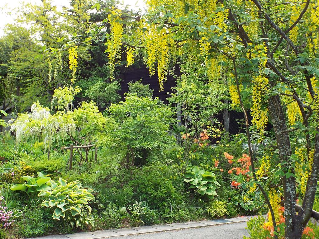 Pension Apple Kaminoyama Extérieur photo